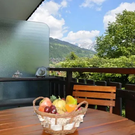 Studio confortable - 4 pers, parking, animaux acceptés - FR-1-241-97 Le Grand-Bornand